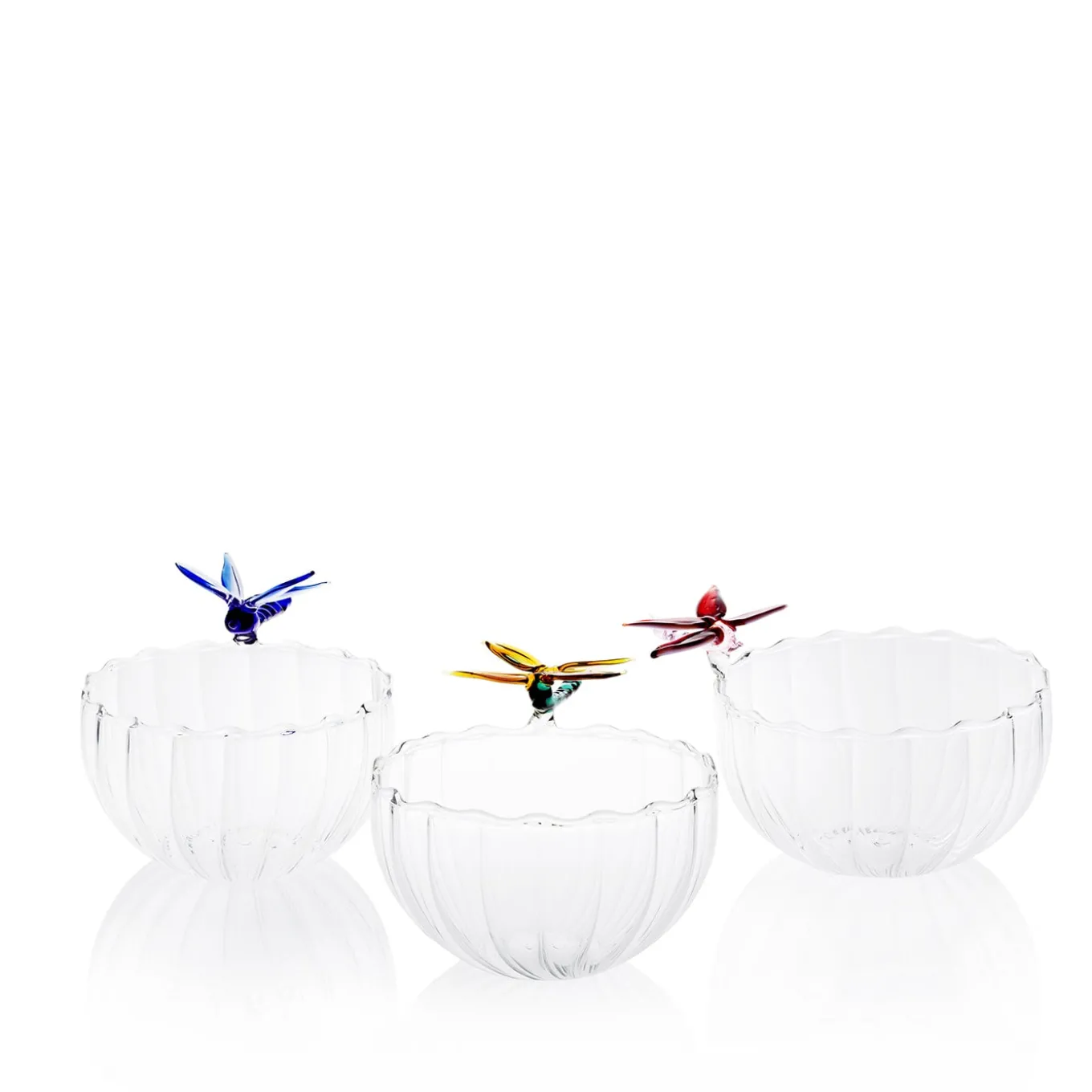 Ali in Volo Ciotola di vetro Libellula blu