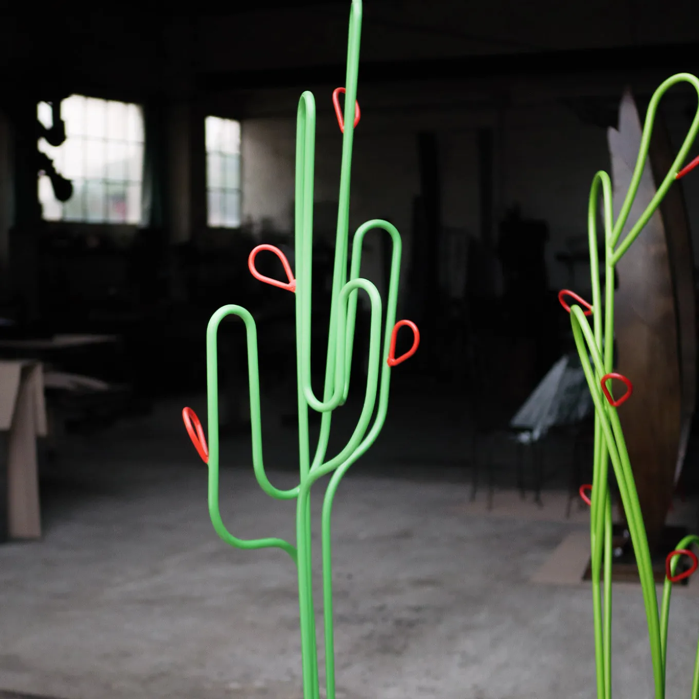 Appendiabiti a cactus