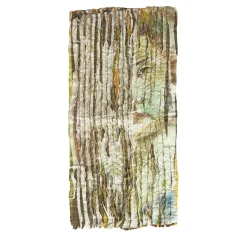 ARAZZO SELVAGGIO #20