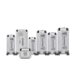 Bank S Vanity Case Argento chiaro di luna