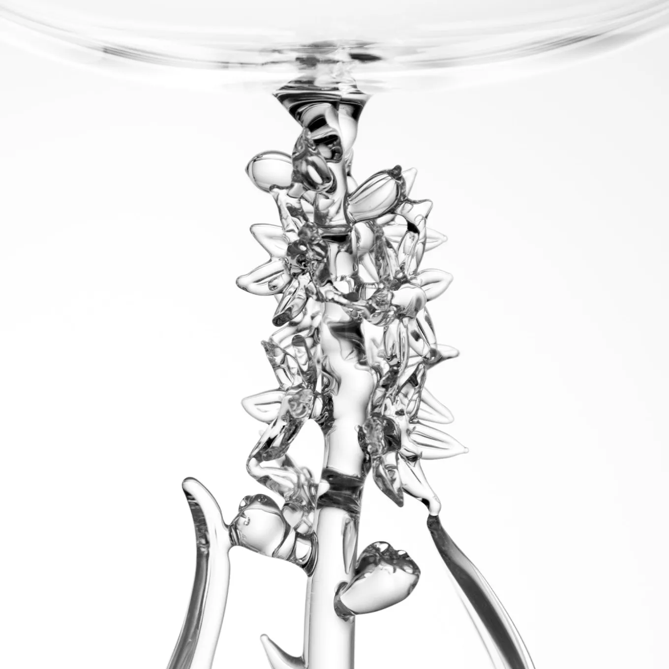 Bicchiere da cocktail Narthecium Ossifragum