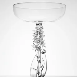 Bicchiere da cocktail Narthecium Ossifragum