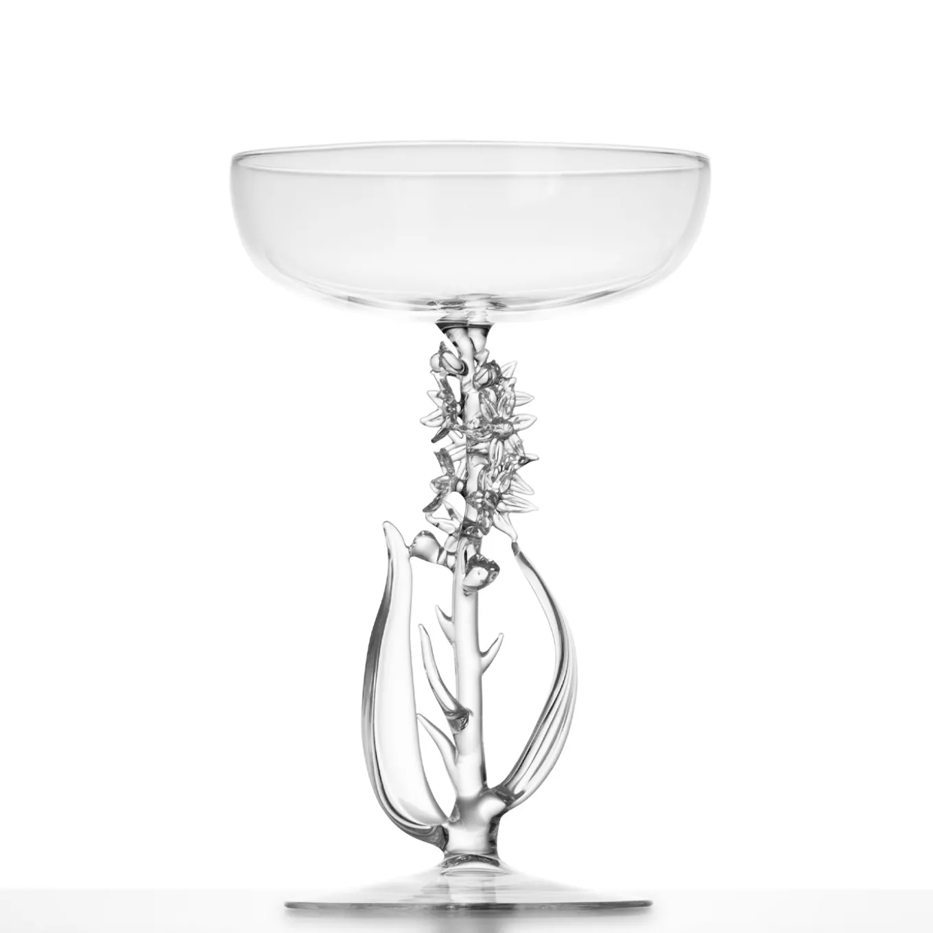 Bicchiere da cocktail Narthecium Ossifragum