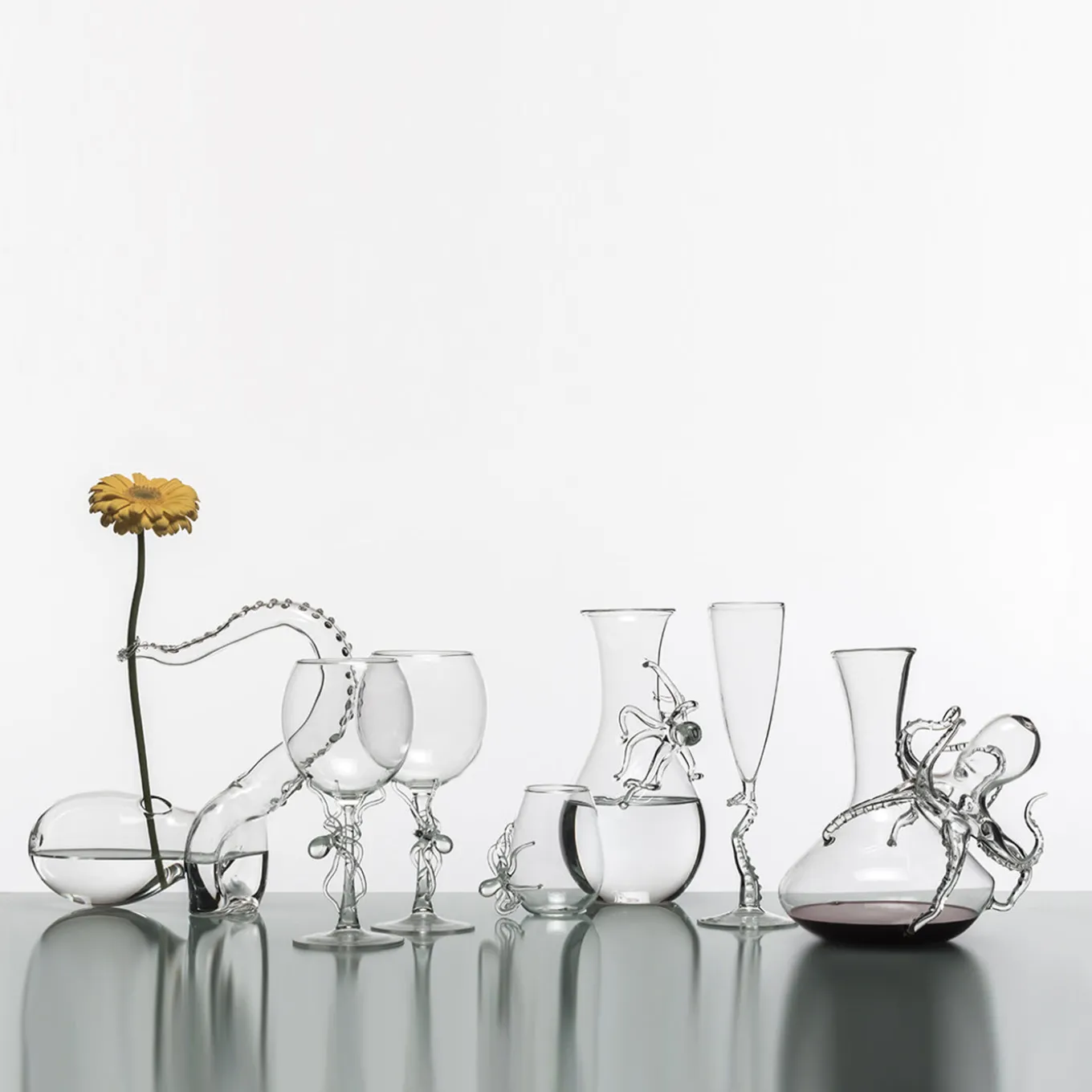 Bicchiere da vino Polpo