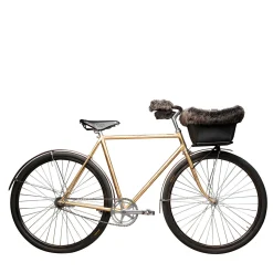 Bicicletta Futura