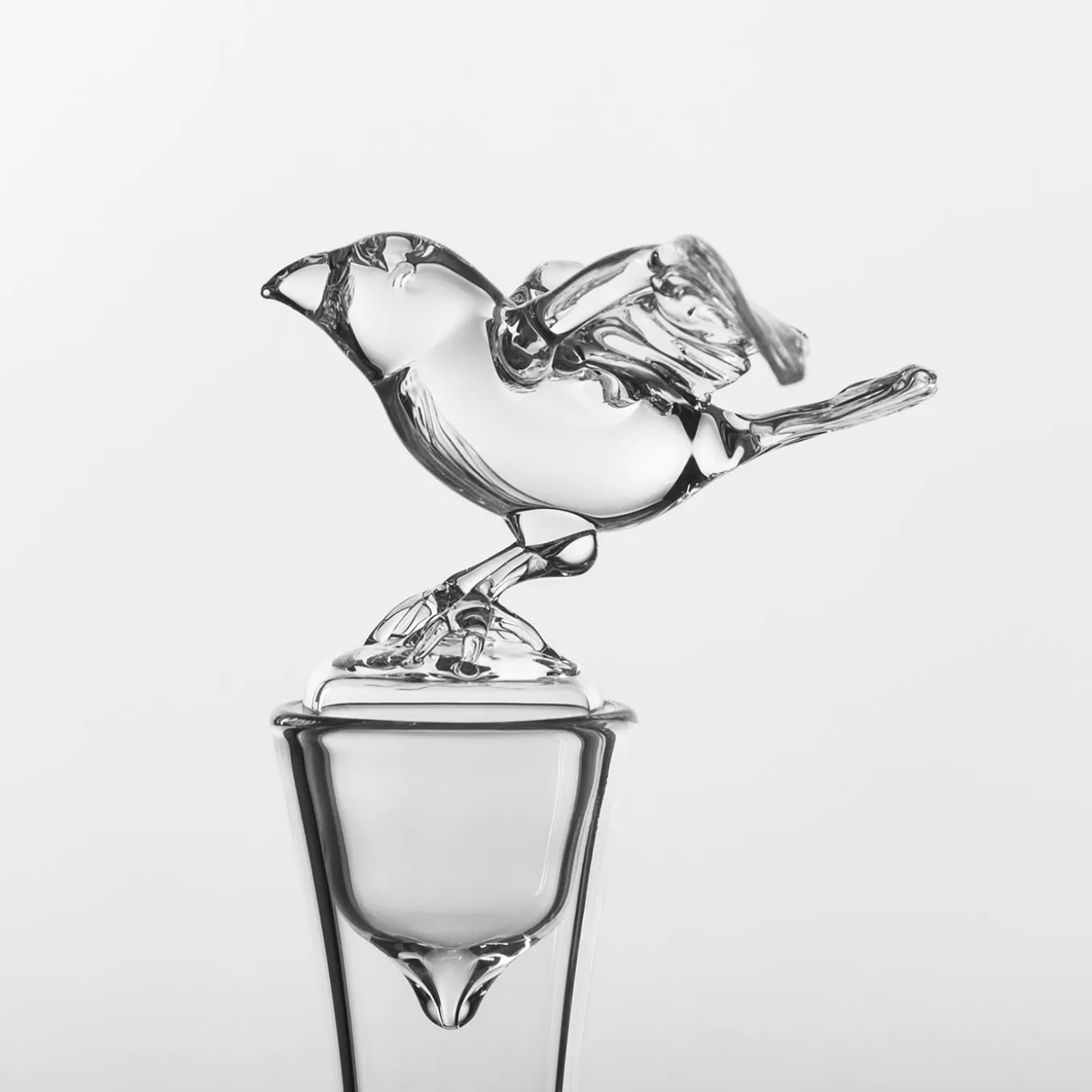 Bottiglia di vetro Bird