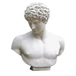 Busto in gesso di Antinoo