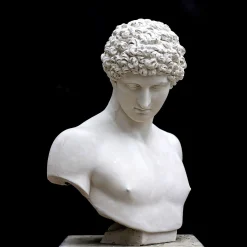 Busto in gesso di Antinoo
