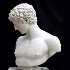 Busto in gesso di Antinoo