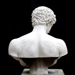 Busto in gesso di Antinoo