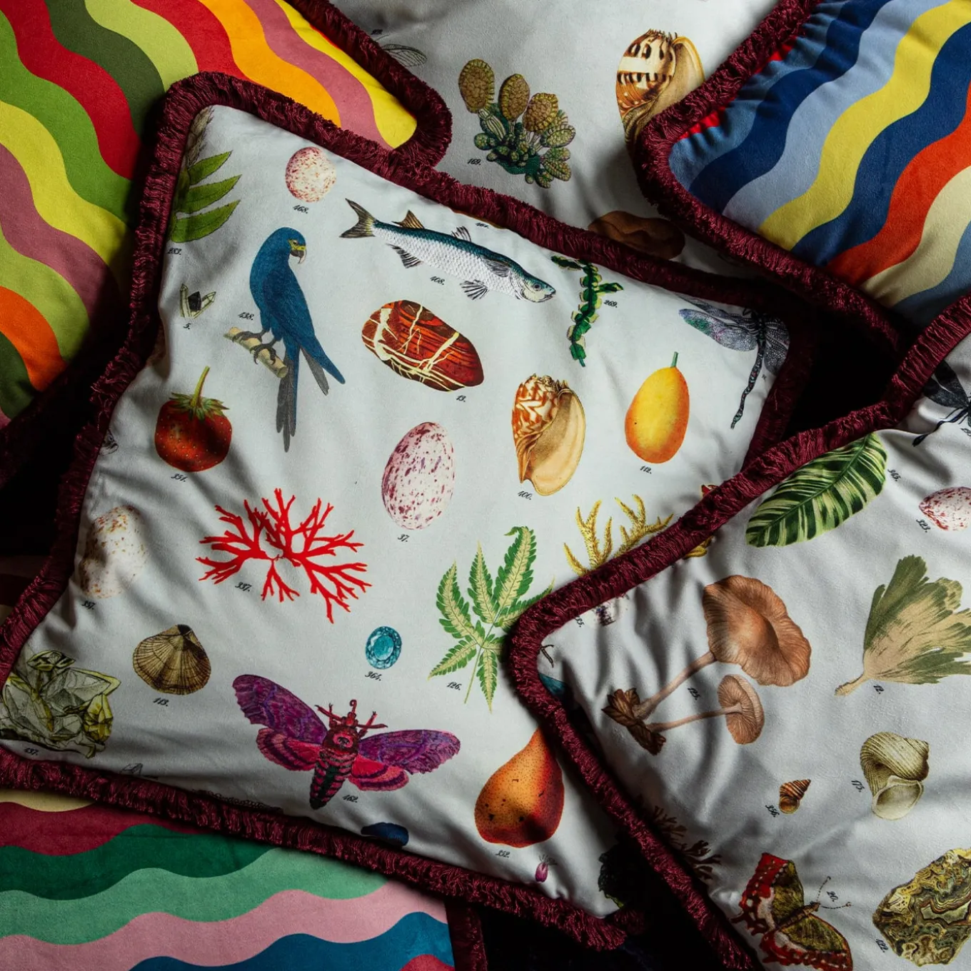 Cabinet De Curiosités Cuscino in velluto con elementi naturali #1