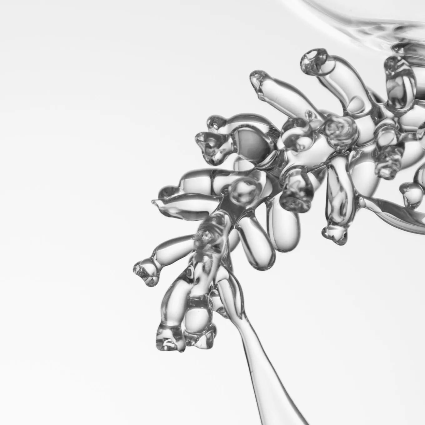 Calice da vino Pyrola Secunda