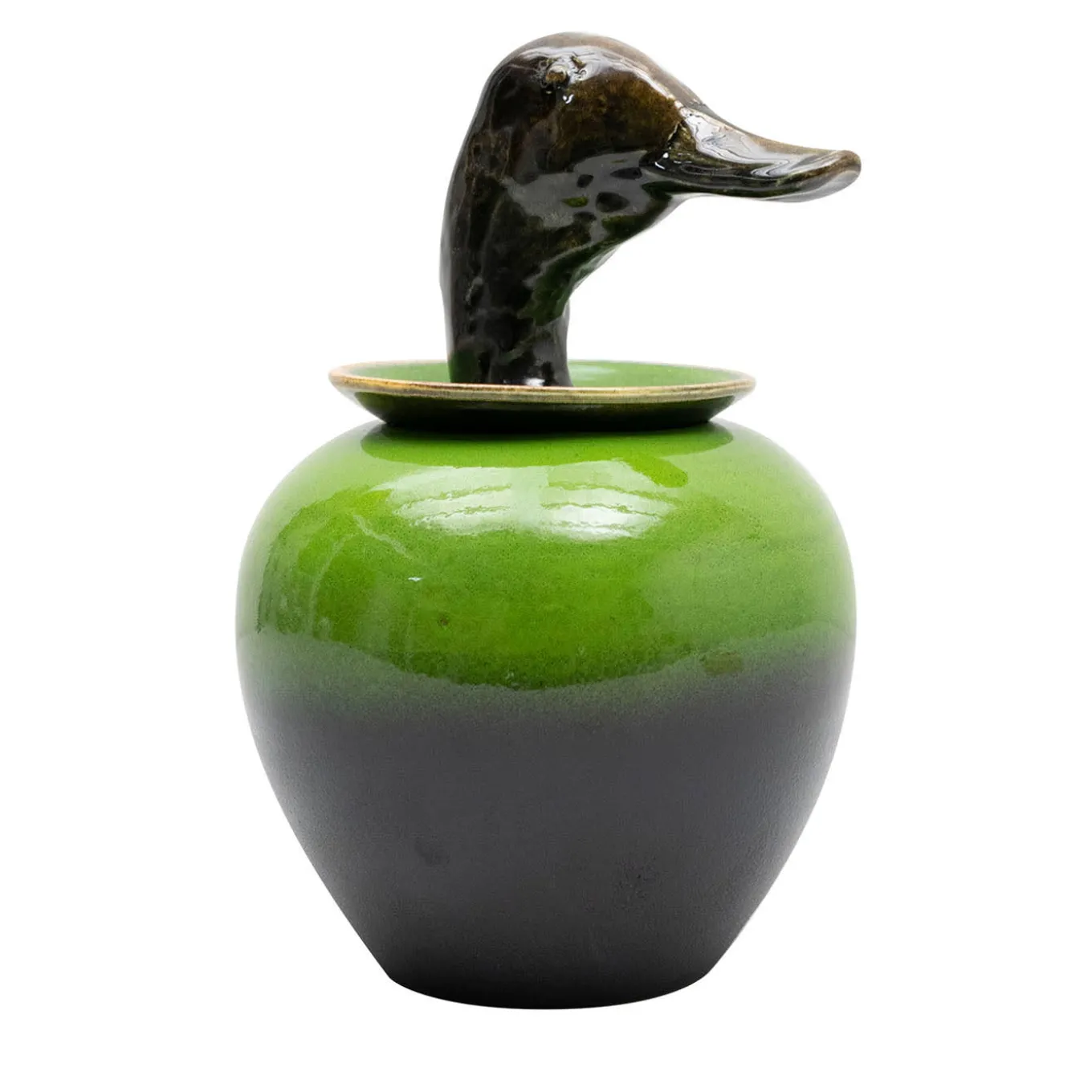 Canopo Anatra Vaso nero e verde #1