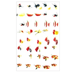 Capsicum Accademici Disegno digitale