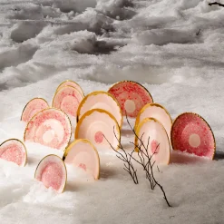 Caricatore di bacche