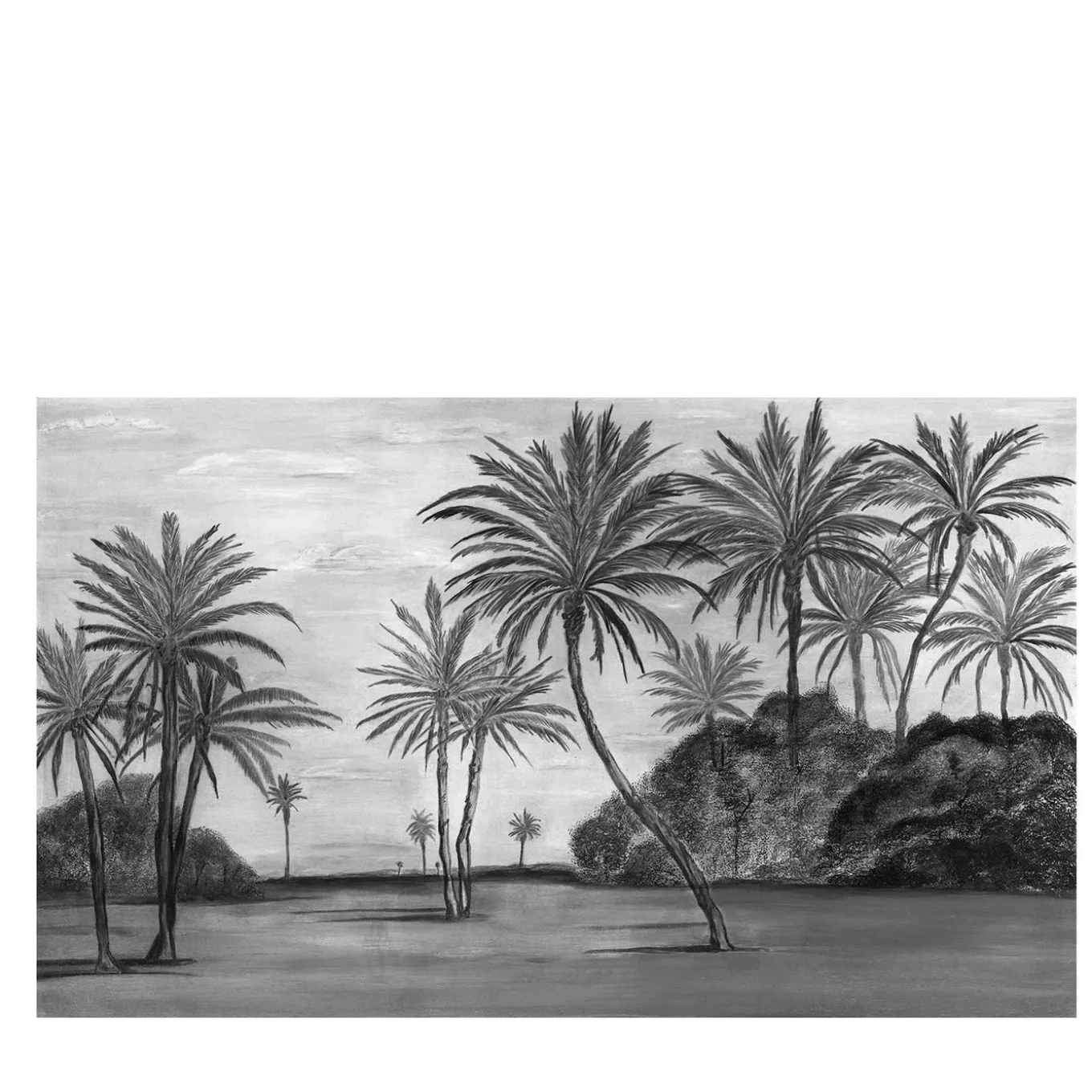 Carta da parati B&N del deserto