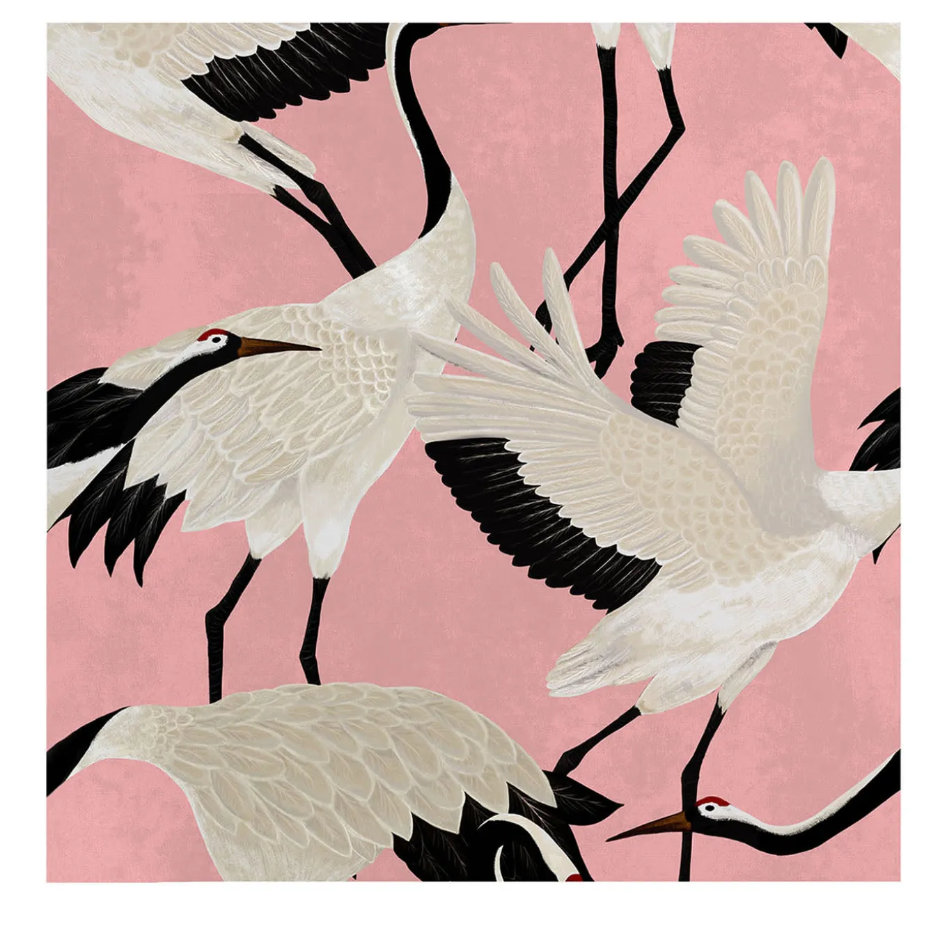 Carta da Parati con Airone Rosa