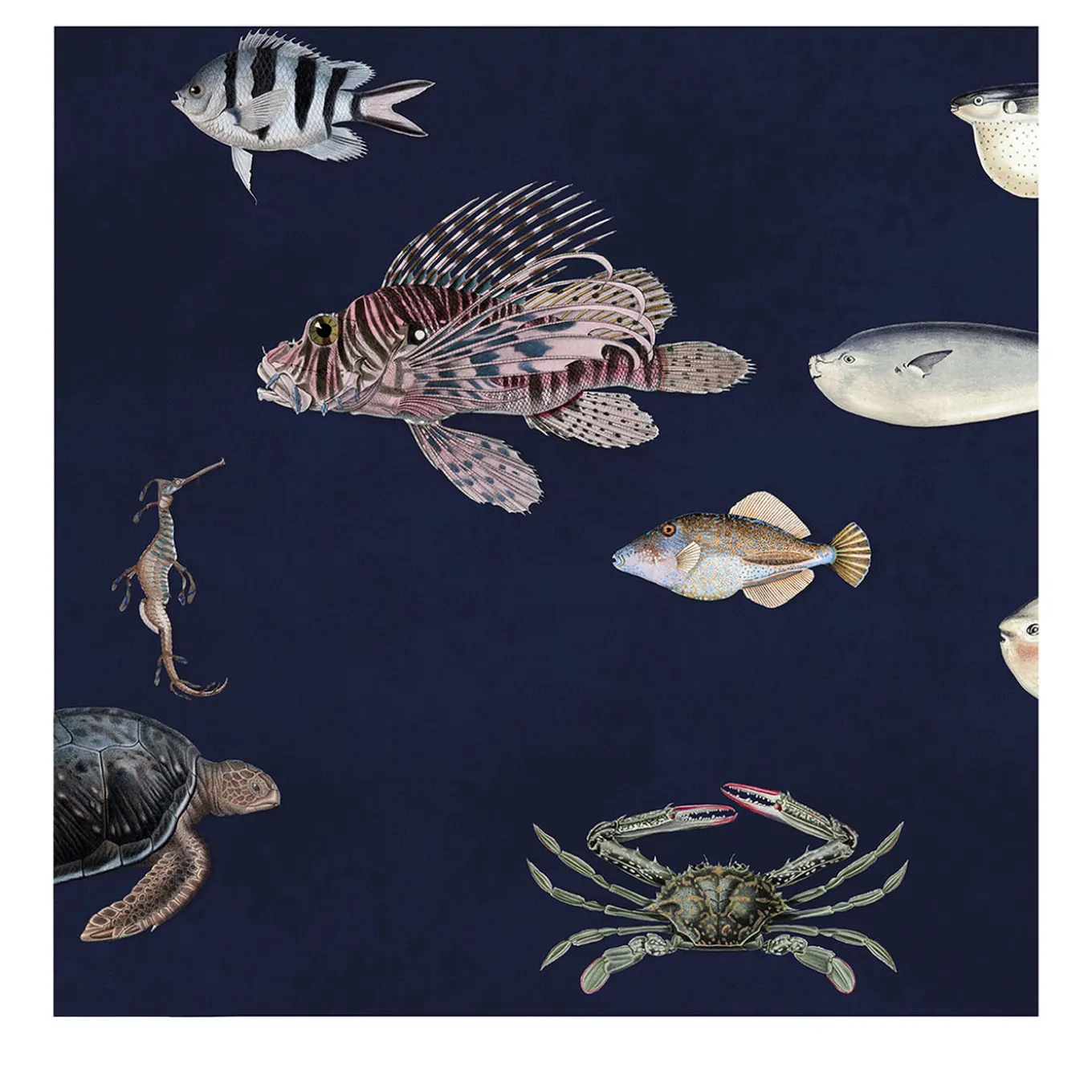 Carta da Parati con Pesci Scuri per Parete Decorativa