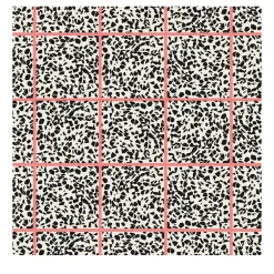 Carta da parati Fuga Fragola di Studio Lievito