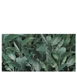 Carta da parati Thai Banano