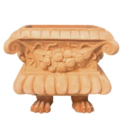 Cassetta Piedi Di Leone