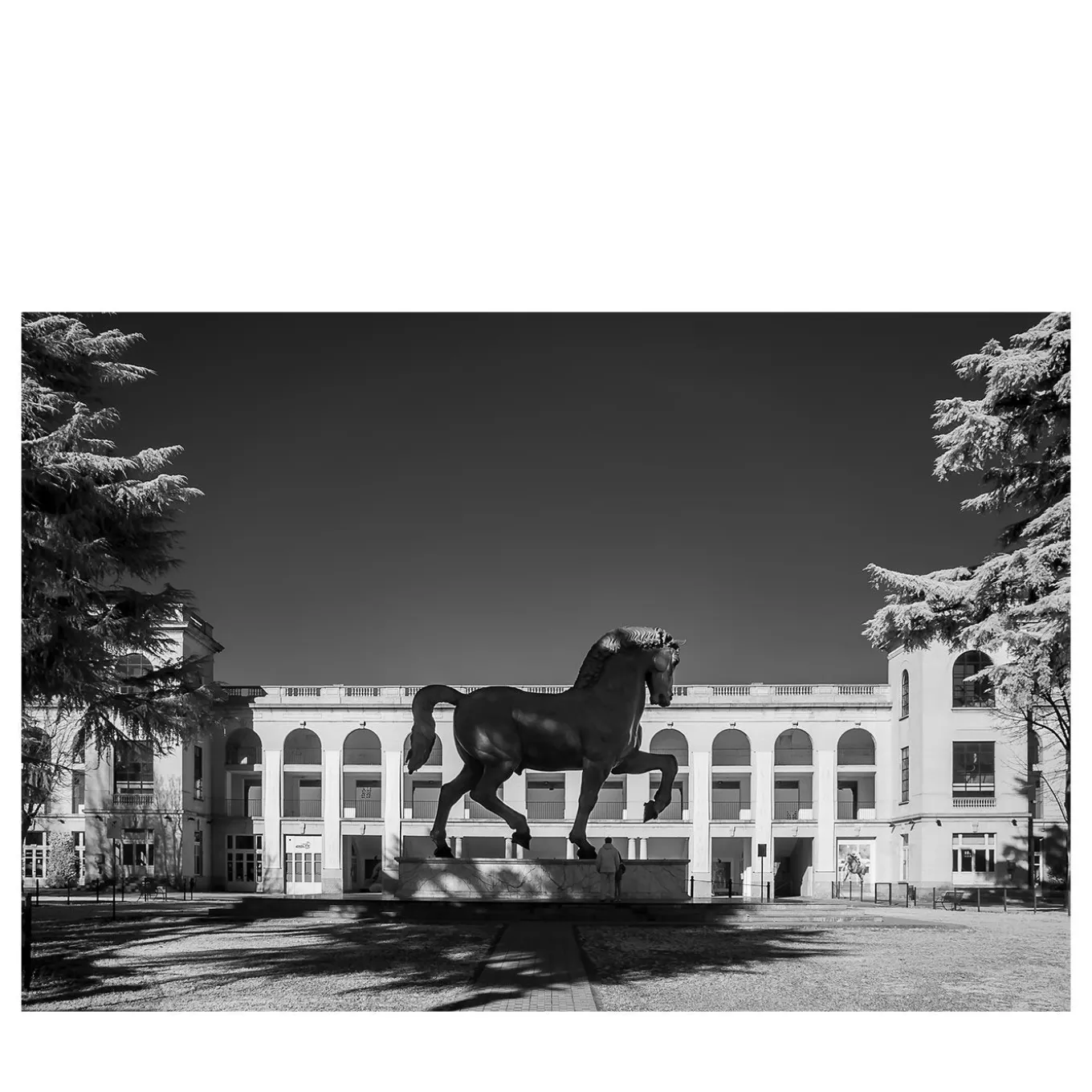 Cavallo di Leonardo #2 Fotografia