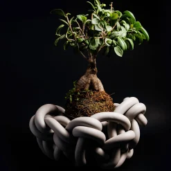 Cestino grigio perla Colosso #1 di Rosanna Contadini