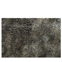 Chiodi #5 Fotografia