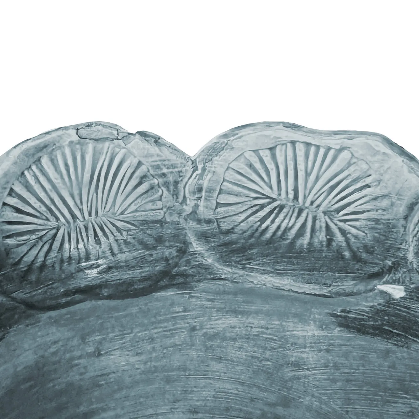 Ciotola decorativa Mars