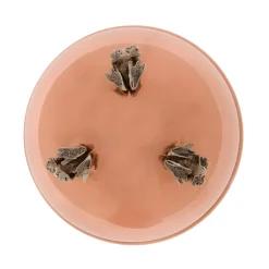 Ciotola in rame con rane d'argento