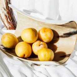 Ciotola Inclinata in Corno