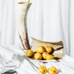 Ciotola Inclinata in Corno