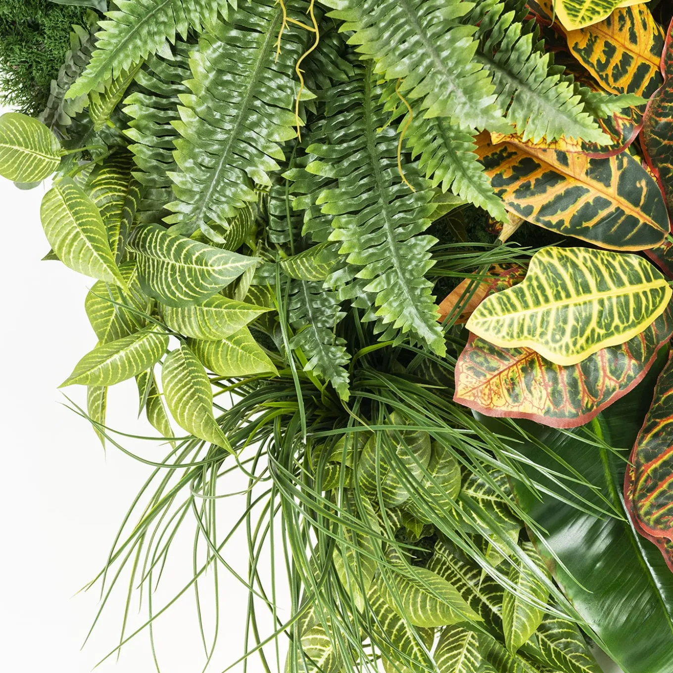 Composizione verde verticale per interni Hana