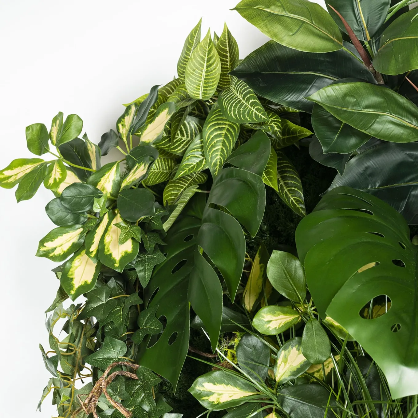 Composizione verde verticale per interni Hana