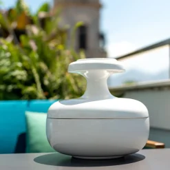 Contenitore e piatto da portata Pyxis bianco