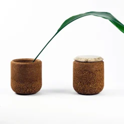 Contenitore Guscio #2 di Gumdesign