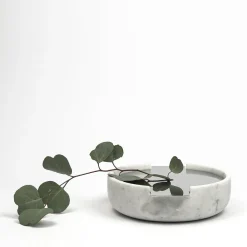 Contenitore remoto Connessioni #2