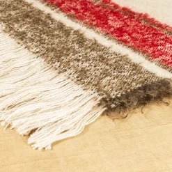 Coperta Futuro con frange a righe policrome