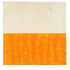 Dejavu Ficus Indica Set di 25 piastrelle Find.9