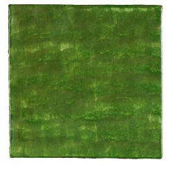 Dejavu Ficus Indica Set di 25 piastrelle verdi