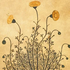 Dhiantus Stampa su tela