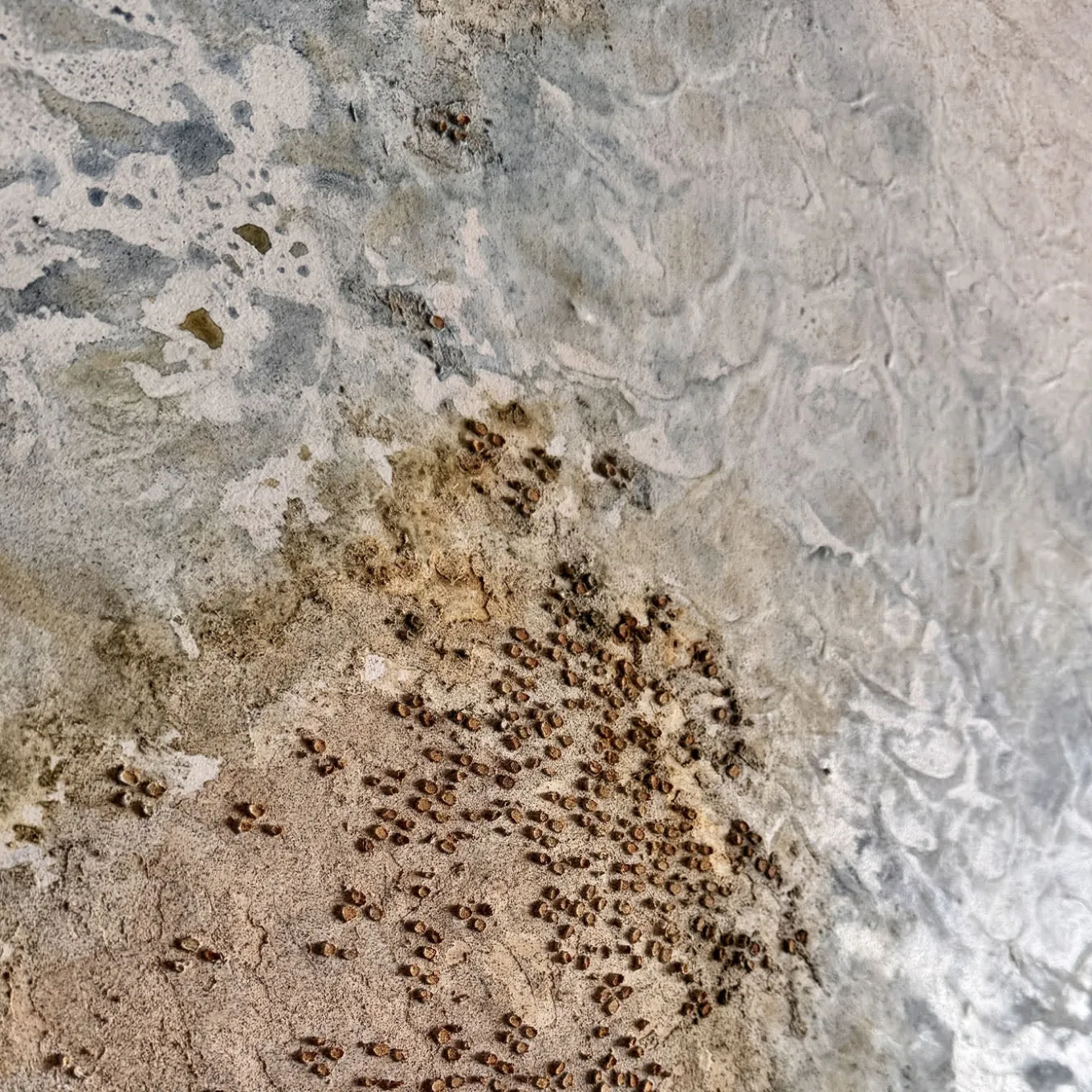 Dittico Materico Medi-ter in Resina