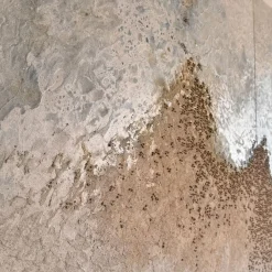 Dittico Materico Medi-ter in Resina