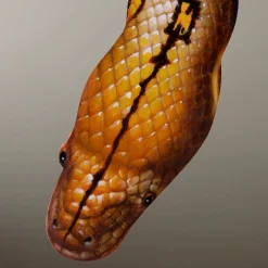 Duello Silenzioso Pittura a olio su specchio da parete #2 di Giuseppe Caiafa