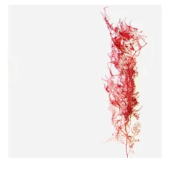 Floreali Naturalia Opera d'arte