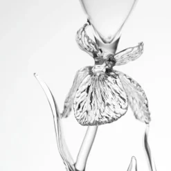 Flûte Iris Pseudacorus in vetro