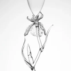 Flûte Iris Pseudacorus in vetro