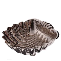 Fondo Mare Conchiglia d'argento