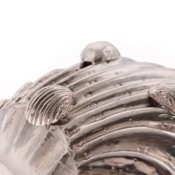 Fondo Mare Conchiglia d'argento