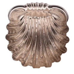 Fondo Mare Conchiglia d'argento